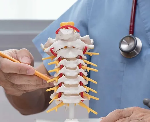 Doctor pointing at cervical spine model.